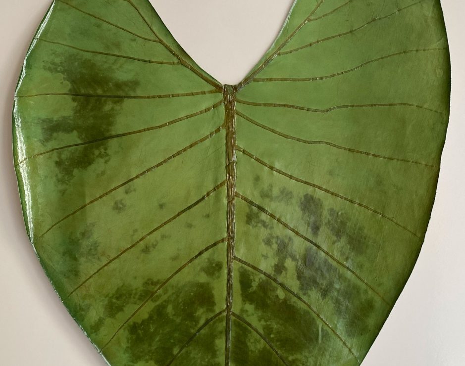 BABY ABAG green leaf - Amélie Pichard